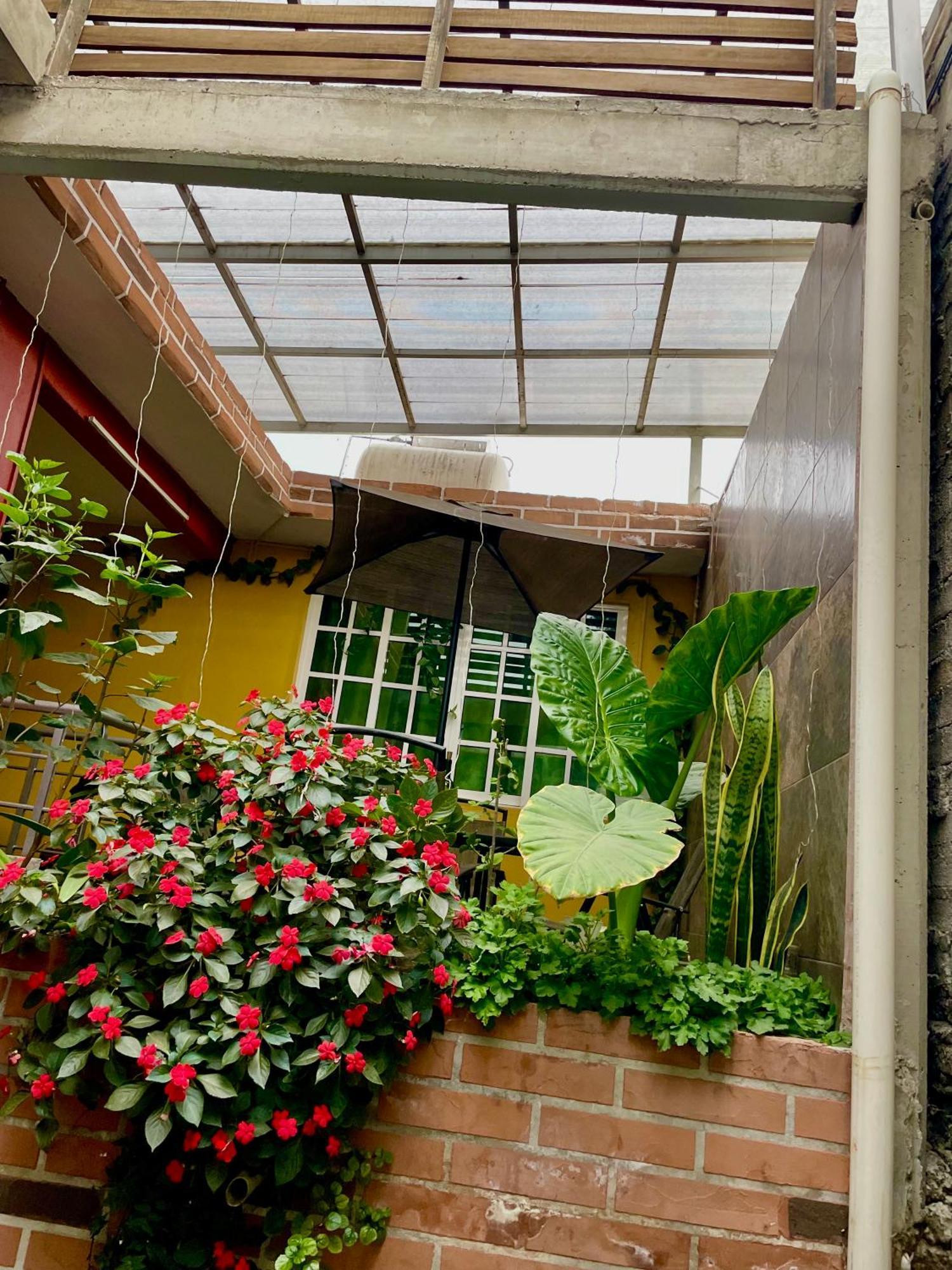 Appartement Hidden House à Mexico Extérieur photo